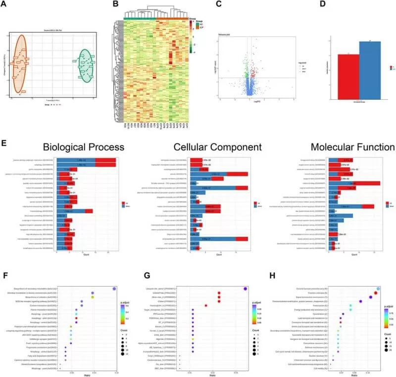 Functional enrichment analysis of differentially expressed proteins based on quantitative proteomics.